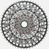 SRAM Sram Xs-1297 T-Type Xx 12-Fach Kassette | Canyon Ersatzteile